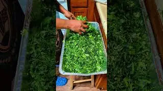 Multifunction cheese grater I used to chop my collard greens