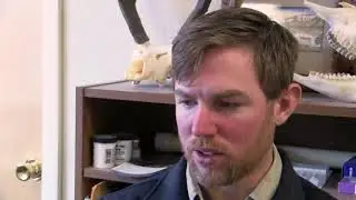 Prairie Bear Monitor provides details on 2019 incidents