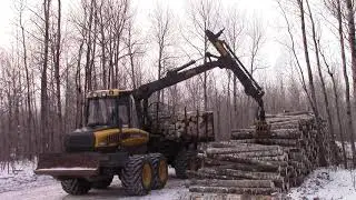 2010 Ponsse Buffalo Double Bunk 8 Wheeled Forwarder
