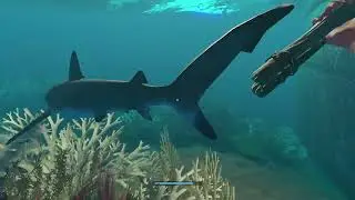 Stranded Deep The Movie: Part 6