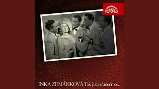 Slunečnice