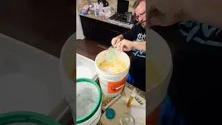 Peach Mead (5 gallon batch)