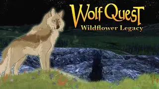 A Thistle In The Weeds🦬🌼 Wolf Quest: Wildflower Legacy #4 (Buffalo Plateau)