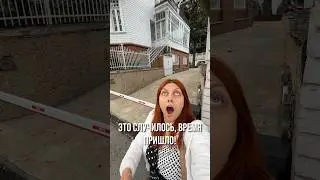 Цветение магнолии - это настоящее чудо природы