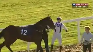 2017 Newcastle Races _ Stolen Angel Obstinate