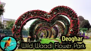 WILD WAADI FLOWER PARK DEOGHAR JHARKHAND #wildpark #deoghar #viralvideo #highlights