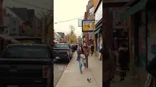 Along Kensington Ave 🇨🇦, #downtown #downtowntoronto #kensingtonmarket #toronto #shorts