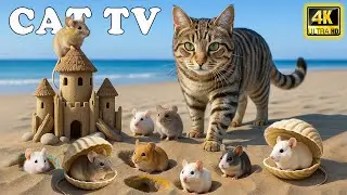 🔴 Cat TV for Cats &ndash; Real Mice Running! Ultimate Mouse Chase Video to Make Cats Happy All Day🐱
