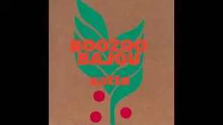 Boozoo Bajou - Down & Out