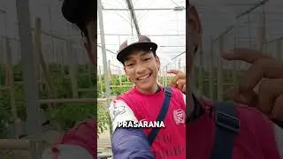 Join Mitra Batamindo Greenfarm