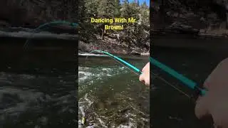 Dancing With Mr. Brown! #fishing #nature #colorado #crankbaits #river