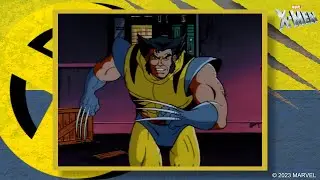 Wolverine | X-Men Character Spotlight