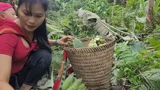 Single mother harvests bananas to sell and how to make delicious banana candy in daily life.