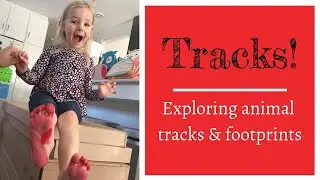 Tracks | Exploring Animal Tracks & Footprints
