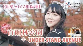 【賞紅葉＋李起光MV拍攝地】首爾林公園＋UNDER STAND AVENUE  | 韓國旅行 | Lilliansssssss