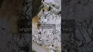 Gaza Emergency Appeal  #shorts