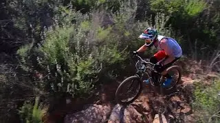 Mountain Bike Shred