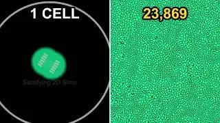 14 Most Viewed 2D Physics Simulations | 10 Minutes of Pure Satisfaction