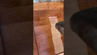 Wood Cabinet Door - stain removal test strip
