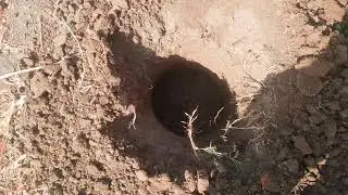BHOOMI AGRO - Post Hole Digger