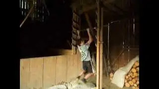 Light Salmon Ladder