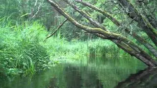 Splyw Marycha.wmv
