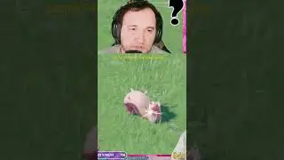 Shiny Schlaraffel | #tobydworldtv auf #Twitch