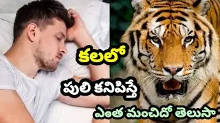 కలలో పులి కనిపిస్తే || Kalalo Puli Kanipiste || Tiger in Dream