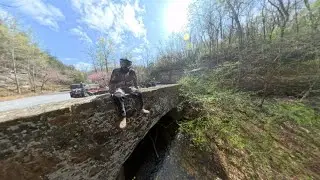 Ozark BAT 
