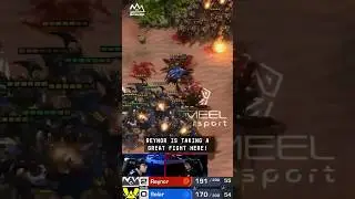 Reynor's Pincer Comeback vs Solar at the SC2 Esports World Cup | #starcraft2