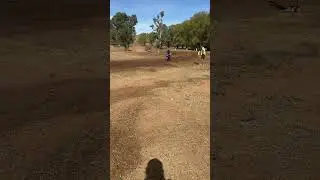 First MX race! #kidswhoride #trending #trendingshorts #yamaha #dirtbike #girlscanride #shorts