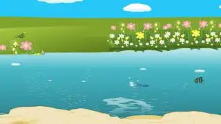Anomalous expansion of water