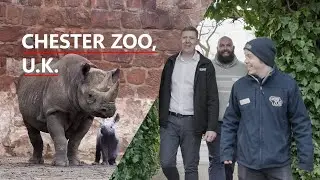 Mitsubishi Electric x Chester Zoo. Warm collaboration created by heat pump technology｜Our Stories