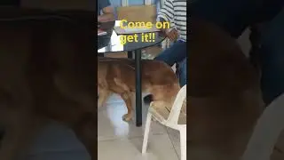 If you want it