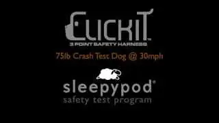Sleepypod Crash Test Success - Clickit Utility Dog Safety Harness