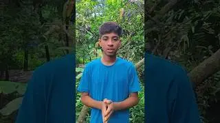 ZOOM IN LIKE A PRO! 😲                     #youtube #zoom #ytshorts 🤯