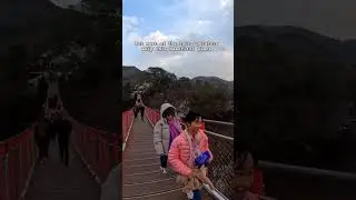 DMZ tour from Seoul | Suspension Bridge #southkorea #southkoreatourism #koreatravel