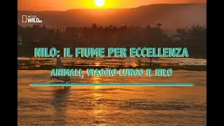 Nilo: il fiume per eccellenza 02. animali, viaggio lungo il Nilo  