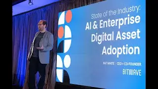 The State of AI & Enterprise Digital Asset Adoption 2025