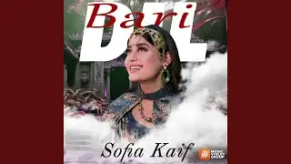 Dil Bari