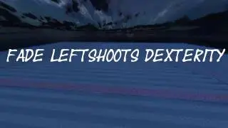SaicoPvp - Fade Leftshoots Dexterity [40MILL$$ RAID]