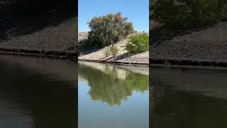 Can You Relax While Fishing? Ask Frugal 👍🏼#asmr #gooddayfishing #frugalrvgal