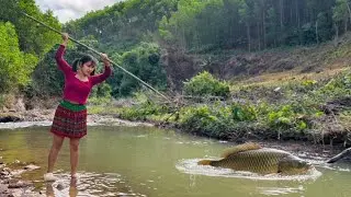 Catching big fish with bare hands in the forest | Unique fishing and cooking methods | Ly Thi My Hoa