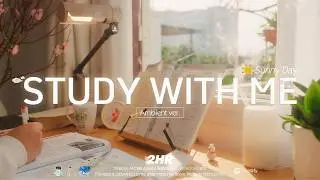 🥕2-HOUR STUDY WITH ME  Sunny Day ⛅| 🌿Ambient ver. NO MUSIC | Pomodoro 50-10, Spring 2026 🌸