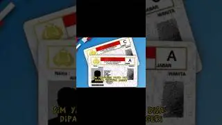 Baru Tahu... SIM Indonesia Bisa Di Gunakan Di Luar Negeri