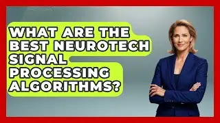 What Are The Best Neurotech Signal Processing Algorithms? - Neurotech Insight Pro