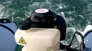fueraborda ozeam 2,5 cv en Aquaparx 330