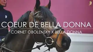 Coeur de Bella Donna, geb. 2018, v. Cornet Obolensky - Baldini II - Calido