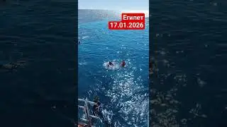 Блогер просит экшн-камеру! #блогер #travel #египет #море #красноеморе #sea #egypt #redsea
