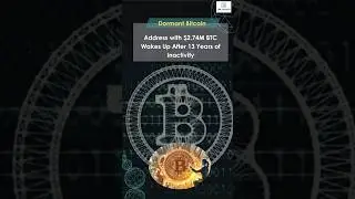 Dormant Bitcoin Address with $2.74M BTC Wakes Up After 13 Years of Inactivity.         #Bitcoin #BTC